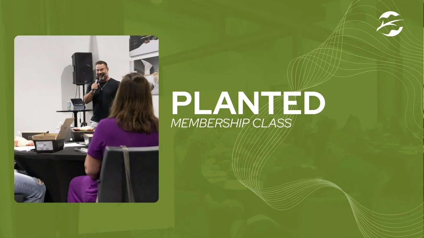 2025 Vision Sunday slide 29